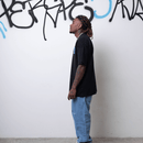 CAMISETA MOOD URSOS PERSPECTIVA PRETA